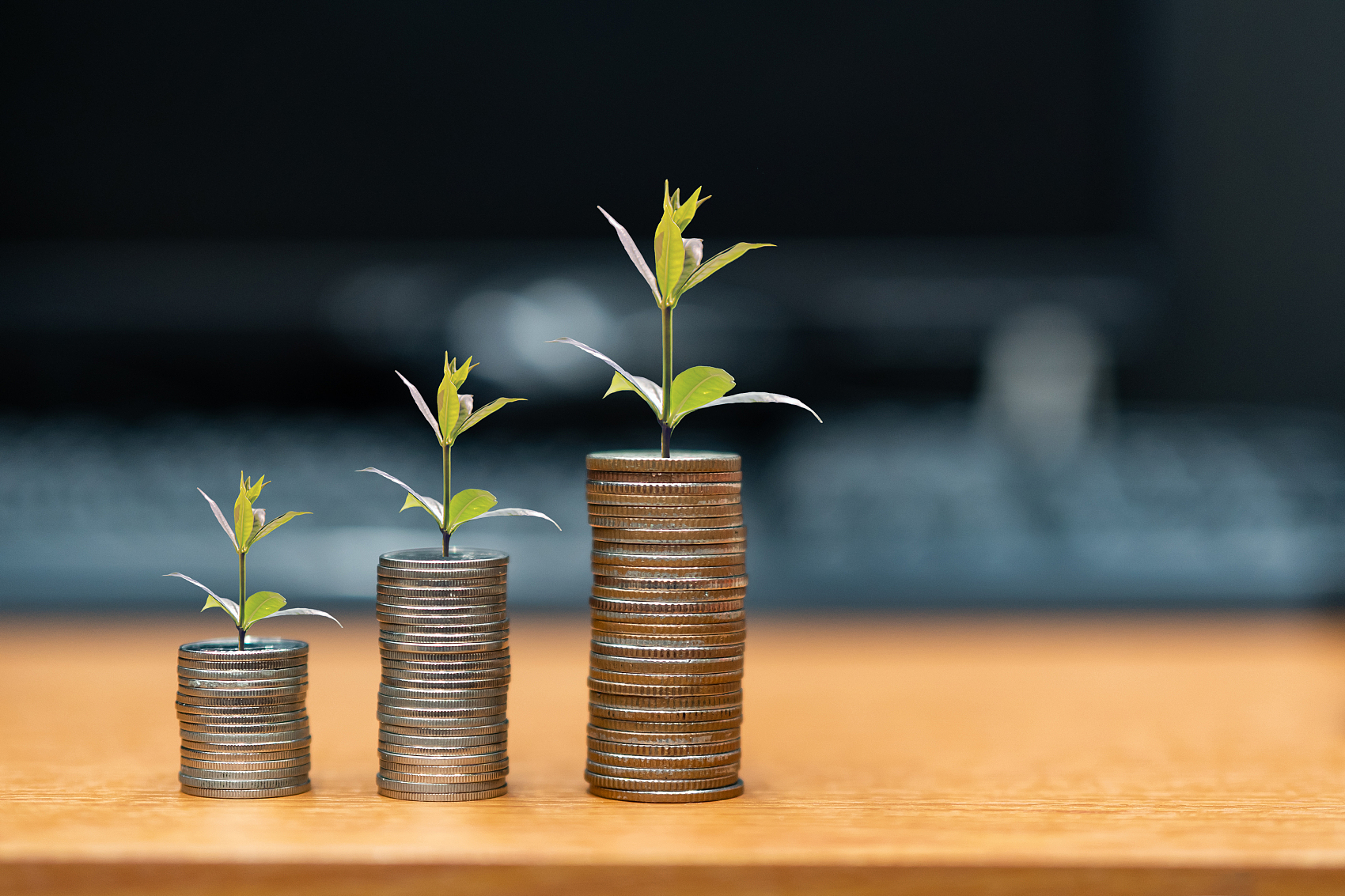 跟单交易新体验,WMax助你轻松投资