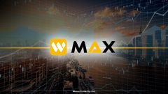 别让功能闲置：Wmax四大高价值工具深度解析