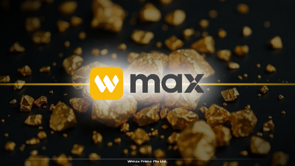 知行合一的困局:WMAX带你识破大脑的交易骗局