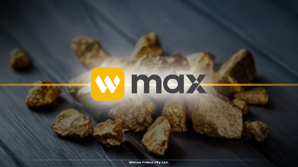 解码交易迷局：在WMAX用理性对抗认知偏差