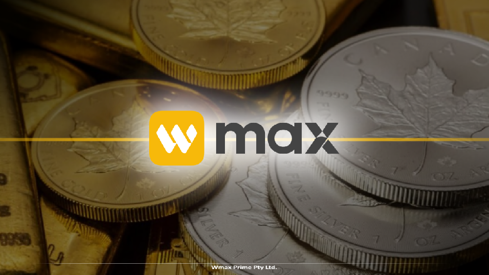 告别盲目跟单：在WMAX平台学会风控，做清醒的投资者