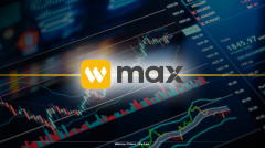WMAX交易平台：洞悉贵金属市场的博弈本质，让每一次决策都有据可依