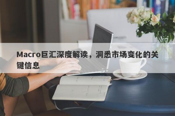 Macro巨汇深度解读，洞悉市场变化的关键信息