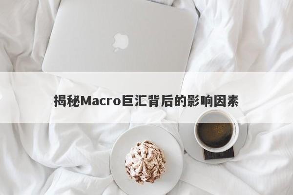 揭秘Macro巨汇背后的影响因素