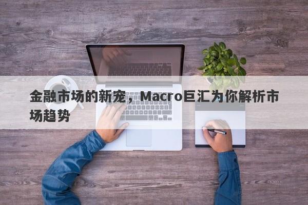 金融市场的新宠，Macro巨汇为你解析市场趋势