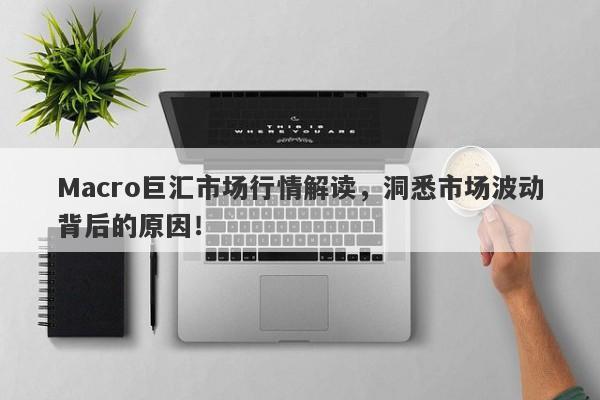 Macro巨汇市场行情解读，洞悉市场波动背后的原因！