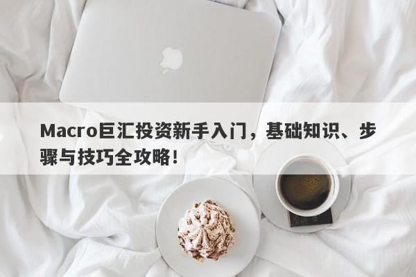Macro巨汇投资新手入门，基础知识、步骤与技巧全攻略！