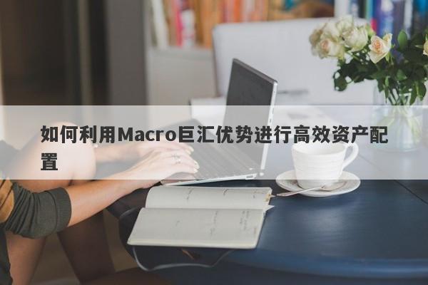 如何利用Macro巨汇优势进行高效资产配置