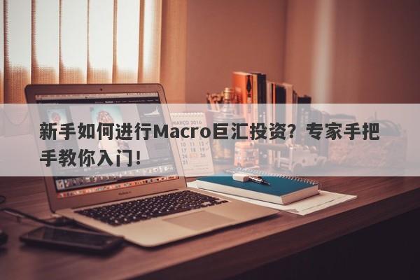 新手如何进行Macro巨汇投资？专家手把手教你入门！