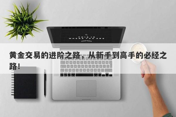 黄金交易的进阶之路，从新手到高手的必经之路！