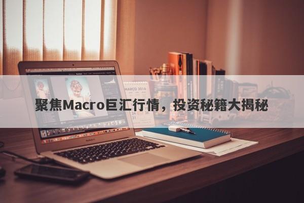 聚焦Macro巨汇行情，投资秘籍大揭秘