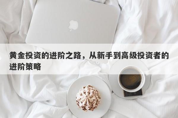 黄金投资的进阶之路，从新手到高级投资者的进阶策略