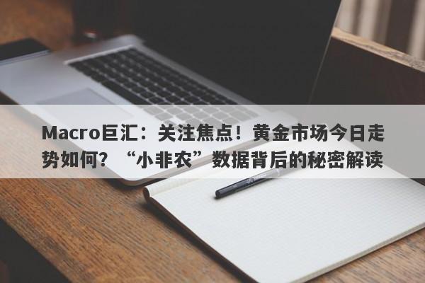 Macro巨汇：关注焦点！黄金市场今日走势如何？“小非农”数据背后的秘密解读