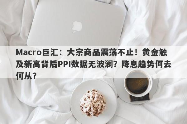 Macro巨汇：大宗商品震荡不止！黄金触及新高背后PPI数据无波澜？降息趋势何去何从？