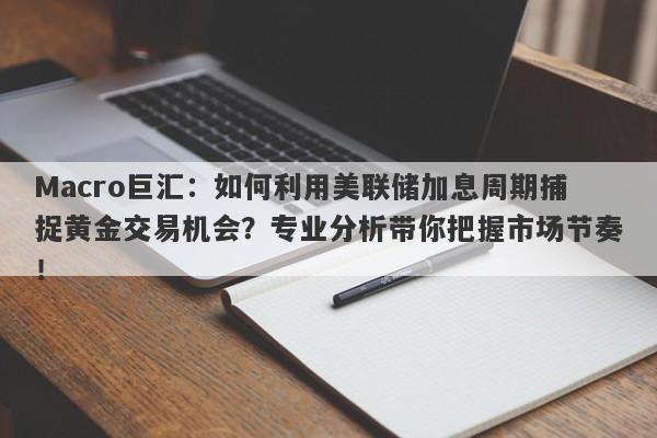 Macro巨汇：如何利用美联储加息周期捕捉黄金交易机会？专业分析带你把握市场节奏！