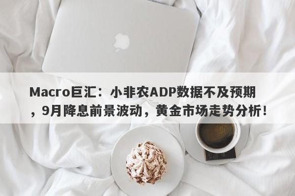Macro巨汇：小非农ADP数据不及预期，9月降息前景波动，黄金市场走势分析！