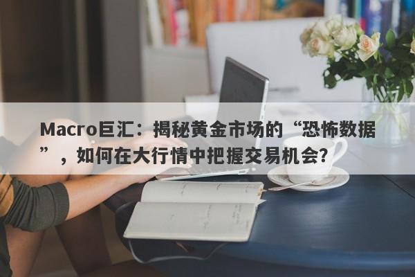 Macro巨汇：揭秘黄金市场的“恐怖数据”，如何在大行情中把握交易机会？