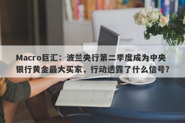 Macro巨汇：波兰央行第二季度成为中央银行黄金最大买家，行动透露了什么信号？