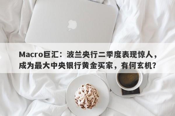 Macro巨汇：波兰央行二季度表现惊人，成为最大中央银行黄金买家，有何玄机？