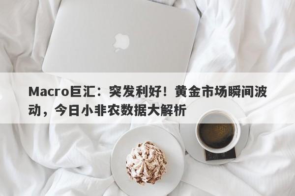 Macro巨汇：突发利好！黄金市场瞬间波动，今日小非农数据大解析