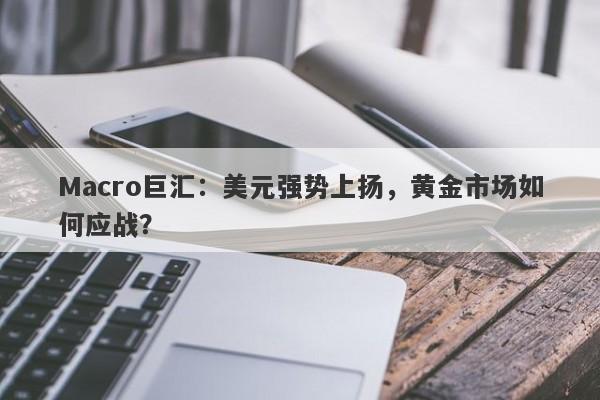 Macro巨汇：美元强势上扬，黄金市场如何应战？