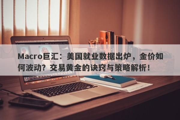 Macro巨汇：美国就业数据出炉，金价如何波动？交易黄金的诀窍与策略解析！