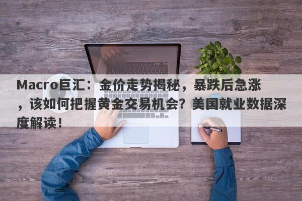 Macro巨汇：金价走势揭秘，暴跌后急涨，该如何把握黄金交易机会？美国就业数据深度解读！